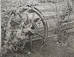 Click image for larger version. 

Name:	wagonwheel.jpg 
Views:	61 
Size:	96.8 KB 
ID:	191332