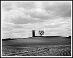 Click image for larger version. 

Name:	Silo-&-Tree.jpg 
Views:	200 
Size:	205.7 KB 
ID:	115999