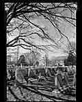 Click image for larger version. 

Name:	LCcemetary2D9A6337.jpg 
Views:	90 
Size:	123.3 KB 
ID:	215286