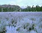 Click image for larger version. 

Name:	Marsh  Frost& Adirondack DS.jpg 
Views:	114 
Size:	123.5 KB 
ID:	100777