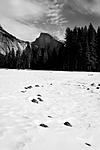 Click image for larger version. 

Name:	half dome for Brandon 2.jpg 
Views:	258 
Size:	41.7 KB 
ID:	152945