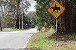 Click image for larger version. 

Name:	Horse Xing.jpg 
Views:	24 
Size:	104.7 KB 
ID:	203621