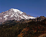 Mount Rainier.jpg