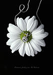 Click image for larger version. 

Name:	Pave-Flower-18x25-Web-Cop.jpg 
Views:	55 
Size:	32.6 KB 
ID:	86869
