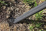 Click image for larger version. 

Name:	Dutch hill leg spike in soil.jpg 
Views:	20 
Size:	133.6 KB 
ID:	229103
