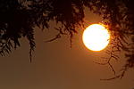 Click image for larger version. 

Name:	Montara morning sun, 8.24.20.jpg 
Views:	24 
Size:	36.1 KB 
ID:	207064