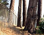 Click image for larger version. 

Name:	california_07072005_fence_california.jpg 
Views:	80 
Size:	131.5 KB 
ID:	94781