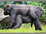 Click image for larger version. 

Name:	Funny-Animals-You-re-doing-it-wrong.jpg 
Views:	27 
Size:	71.2 KB 
ID:	72327
