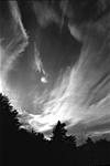 Click image for larger version. 

Name:	Montara Sunset-3.jpg 
Views:	59 
Size:	28.2 KB 
ID:	231987