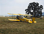 Click image for larger version. 

Name:	Tiger Moth.jpg 
Views:	160 
Size:	86.2 KB 
ID:	71203