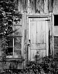 Door and vines.jpg