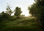 Click image for larger version. 

Name:	DirtMulholland_Sunset.jpg 
Views:	161 
Size:	79.3 KB 
ID:	74881