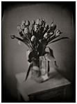 Click image for larger version. 

Name:	Voigtlander.tulips.01c.jpg 
Views:	92 
Size:	28.9 KB 
ID:	187911