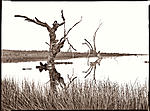 Click image for larger version. 

Name:	Cold-morning-at-the-pond-today-1920-7-5-19.jpg 
Views:	229 
Size:	87.9 KB 
ID:	191214
