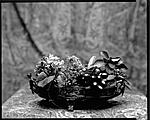 Click image for larger version. 

Name:	paper-negative-8x10-rscphoto-untitled.jpg 
Views:	106 
Size:	186.6 KB 
ID:	101207