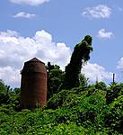 Click image for larger version. 

Name:	Kudzu_man.jpg 
Views:	48 
Size:	86.2 KB 
ID:	239602