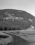 Click image for larger version. 

Name:	Montana marsh LF.jpg 
Views:	89 
Size:	167.7 KB 
ID:	118808