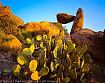 Balanced_Rock_Big_Bend_NP_2011_May copy.jpg