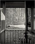 Click image for larger version. 

Name:	Imagon 300mm f58 paper neg studio doorway adjusted.jpg 
Views:	178 
Size:	66.9 KB 
ID:	113804