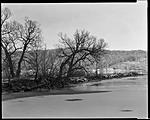 Click image for larger version. 

Name:	2024-2-20 Otisco Lake causeway looking N.jpg 
Views:	52 
Size:	62.4 KB 
ID:	247545