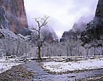 snow in the canyon .jpg