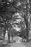 Click image for larger version. 

Name:	Tree tunnel-1.jpg 
Views:	17 
Size:	94.1 KB 
ID:	223623