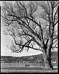 Click image for larger version. 

Name:	2024-3-4 Otisco Lake Park looking W.jpg 
Views:	48 
Size:	129.2 KB 
ID:	247546
