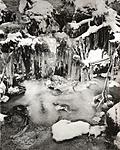 Click image for larger version. 

Name:	Frozen Falls.jpg 
Views:	80 
Size:	120.1 KB 
ID:	212174
