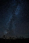 Milky Way 1-2.jpg