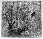 Click image for larger version. 

Name:	Kilby Mill.jpg 
Views:	127 
Size:	117.5 KB 
ID:	189945