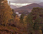 Click image for larger version. 

Name:	Loch Beinn a Mheadhoin Viewpoint.jpg 
Views:	175 
Size:	104.2 KB 
ID:	189044