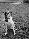 Click image for larger version. 

Name:	Susie at the farm gate cleaned crop.jpg 
Views:	21 
Size:	77.0 KB 
ID:	224674
