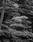 Click image for larger version. 

Name:	2022_10_06 Hocking Hills009 copy 2.jpg 
Views:	64 
Size:	157.3 KB 
ID:	232522
