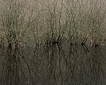 Click image for larger version. 

Name:	Reflection Ladybower.jpg 
Views:	109 
Size:	115.8 KB 
ID:	200491