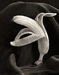 Click image for larger version. 

Name:	Banana-2.jpg 
Views:	88 
Size:	81.3 KB 
ID:	112610