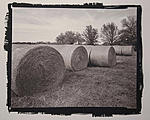 Click image for larger version. 

Name:	kallitype hay bales.jpg 
Views:	153 
Size:	206.7 KB 
ID:	128448