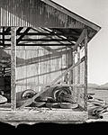 Tire Barn Portrait - Arlington.jpg