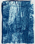 Click image for larger version. 

Name:	Cyanotype #3 (16 min) (2).jpg 
Views:	81 
Size:	130.4 KB 
ID:	215172