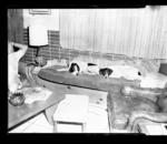 Click image for larger version. 

Name:	Dogs 1973.jpg 
Views:	86 
Size:	45.3 KB 
ID:	102383