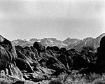 Click image for larger version. 

Name:	Lone Pine delta 100 (2 of 3).jpg 
Views:	108 
Size:	61.0 KB 
ID:	224410