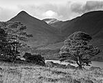 Click image for larger version. 

Name:	An Tudair Glen Affric.jpg 
Views:	314 
Size:	81.9 KB 
ID:	189045