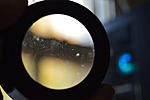 Click image for larger version. 

Name:	Lens fungus-scratches-2.jpg 
Views:	73 
Size:	28.9 KB 
ID:	208909