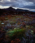 Click image for larger version. 

Name:	Moelwyn Mawr and Bach LF.jpg 
Views:	259 
Size:	117.2 KB 
ID:	158183