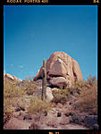 Click image for larger version. 

Name:	SonoranDesert-gamma-M.jpg 
Views:	91 
Size:	72.7 KB 
ID:	242402