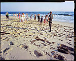 Click image for larger version. 

Name:	2019-03-16 - Kat and Bax Wedding - Intrepid - Beach Polka [90mm][ektar][8'][f32] - resized.jpg 
Views:	162 
Size:	124.3 KB 
ID:	189121