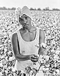 Click image for larger version. 

Name:	Doin' Time - cotton picker.jpg 
Views:	59 
Size:	70.4 KB 
ID:	141043