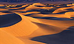 Click image for larger version. 

Name:	dvdunes1.jpg 
Views:	155 
Size:	41.4 KB 
ID:	69944