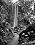 Click image for larger version. 

Name:	queen mary falls.jpg 
Views:	124 
Size:	97.9 KB 
ID:	163743