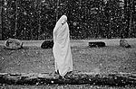 Click image for larger version. 

Name:	Shrouded Figure, Snow Squall.jpg 
Views:	58 
Size:	116.5 KB 
ID:	198384