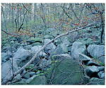 Click image for larger version. 

Name:	Sourland Boulder Field and Maples Spring (higher scan) 4x5_00001RPF4521DS.jpg 
Views:	131 
Size:	146.9 KB 
ID:	210588